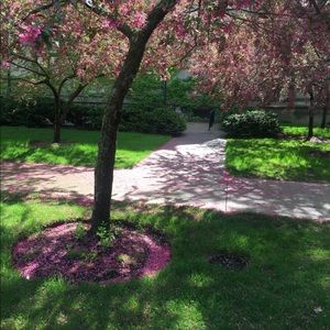 Meet your Posher, Liv